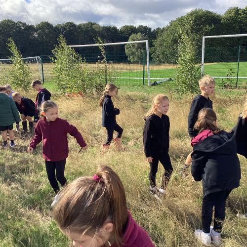 Stone age experience day!