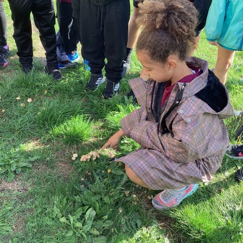 Stone Age Experience Day!